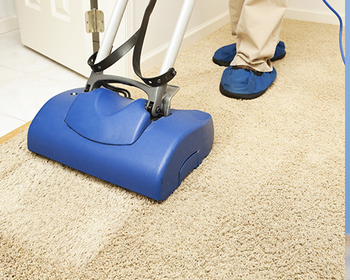 Carpet Cleaning